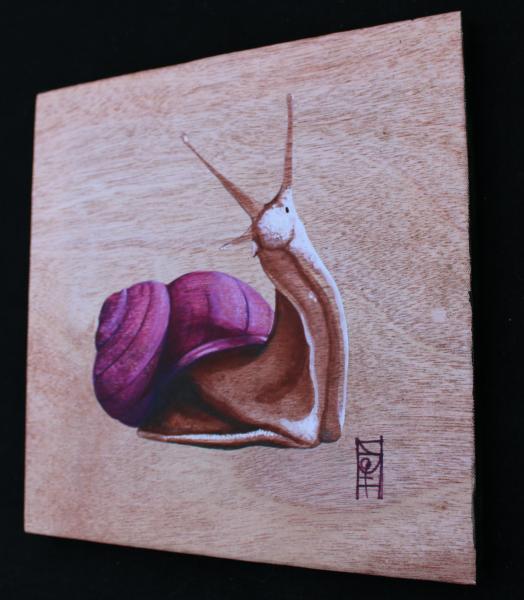 Snail Canvas Print picture