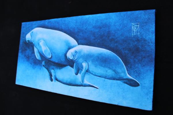 Manatee Family on Canvas picture