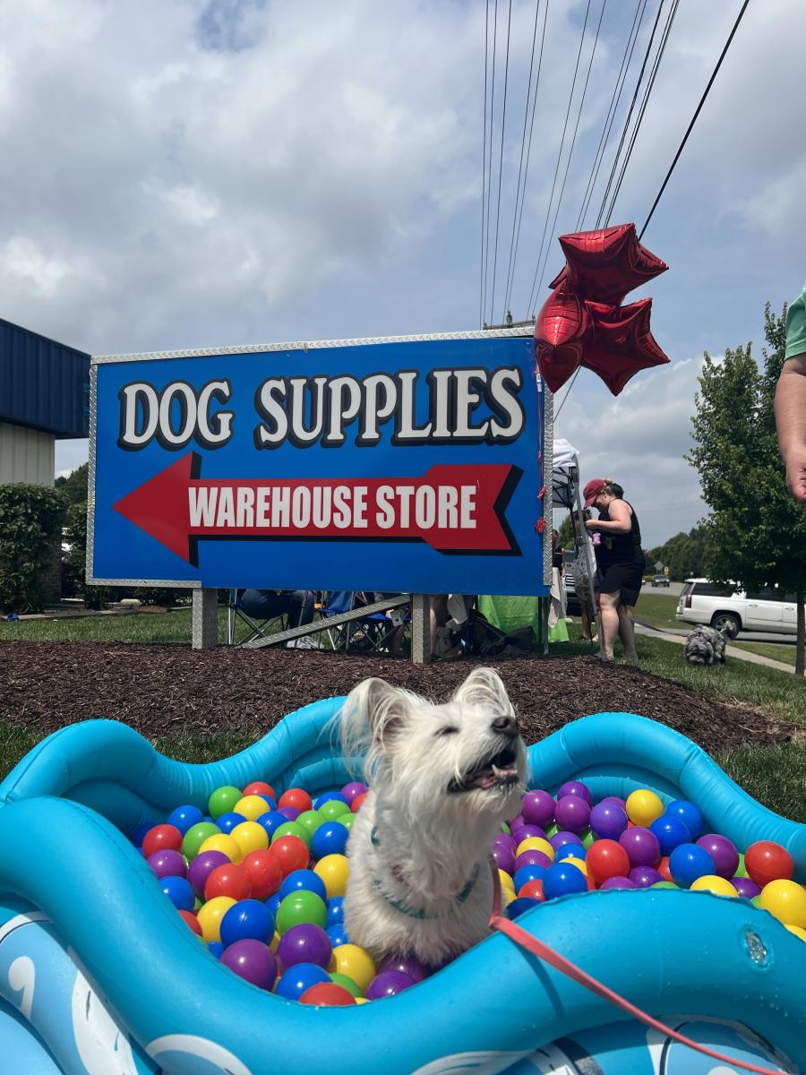 Dog Supplies Warehouse Eventeny