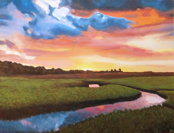 Florida Marsh - Landscape picture