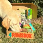 4Paws Box