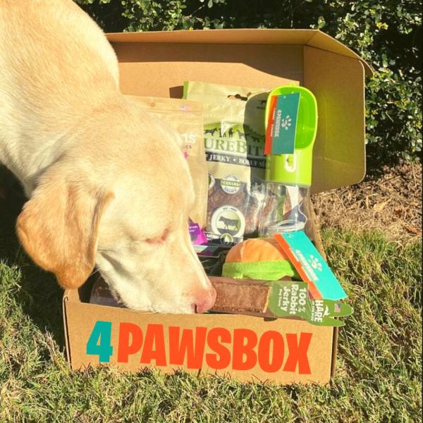 4Paws Box picture