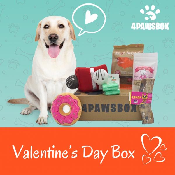 Valentine’s Day Box