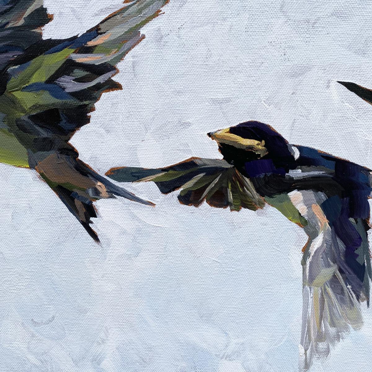 Over the Wire picture