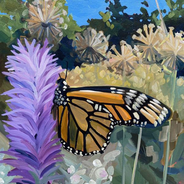 Summer Monarch picture