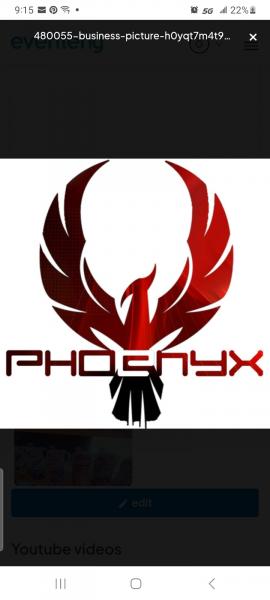 Phoenix Arts and Crafts