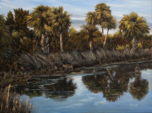 Tidal Pond Palms, St Marks Field Study December 12