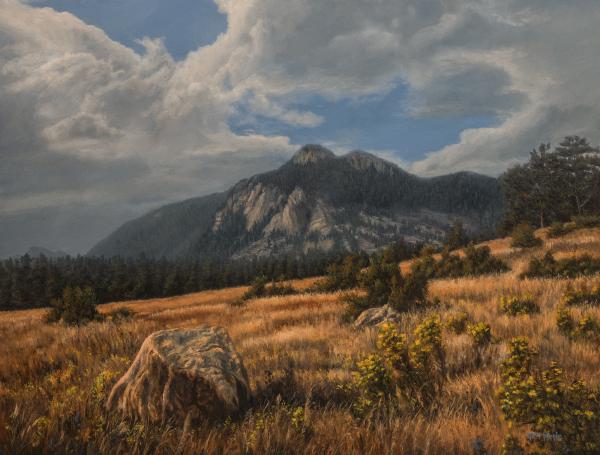 Looking North from Moraine Park, Rocky Mountains picture