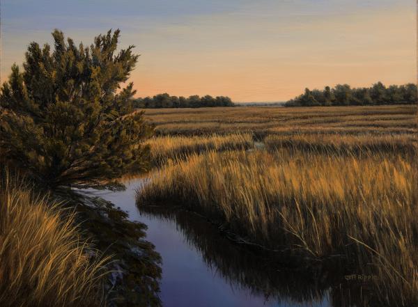 Salt Marsh and Cedar at Sunset December 29 picture