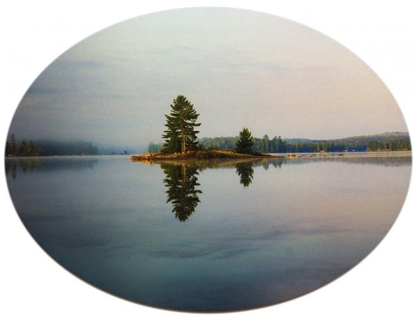 Reflecting Tranquility Spruce Tree