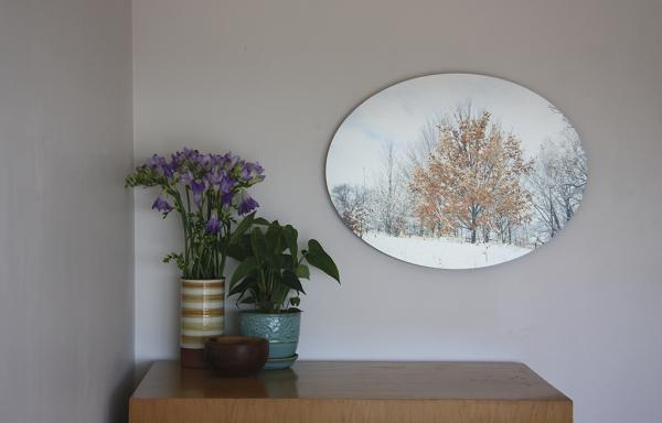 Manifesting Hope Oak Tree picture