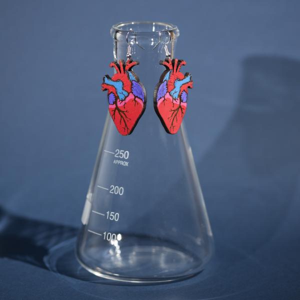 Hand-Painted Anatomical Heart Earrings
