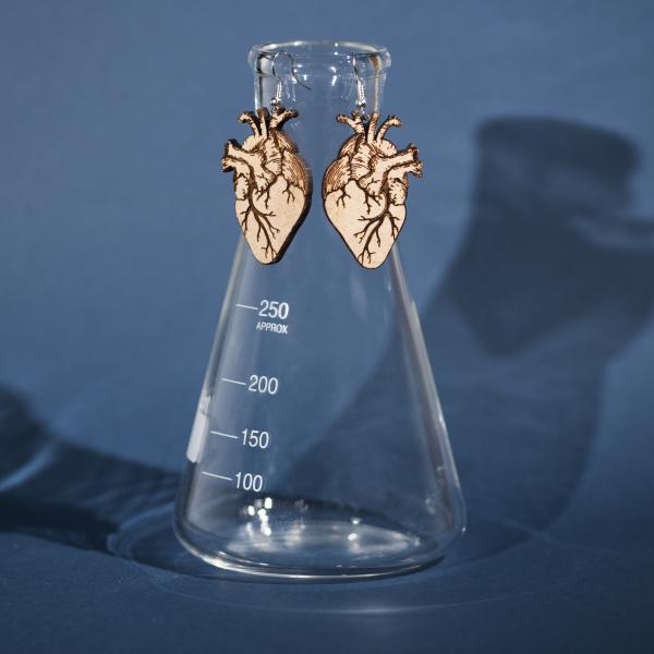 Hand-Painted Anatomical Heart Earrings picture