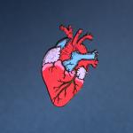 Hand-Painted Anatomical Heart Pin