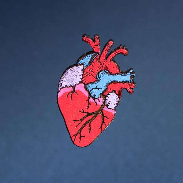 Hand-Painted Anatomical Heart Pin