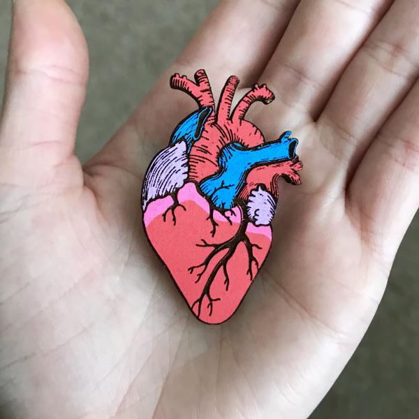 Hand-Painted Anatomical Heart Pin picture