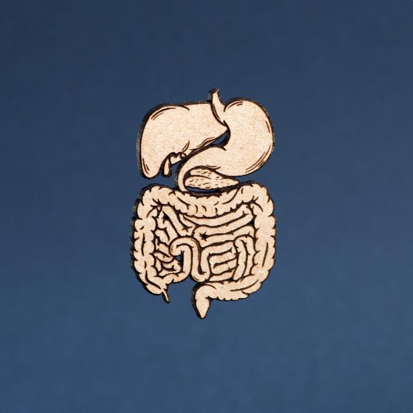 Wood Digestive System Pin