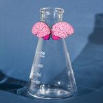 Hand-Painted Brain Earrings