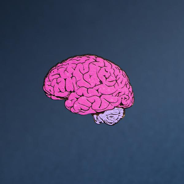 Hand-Painted Brain Pin picture