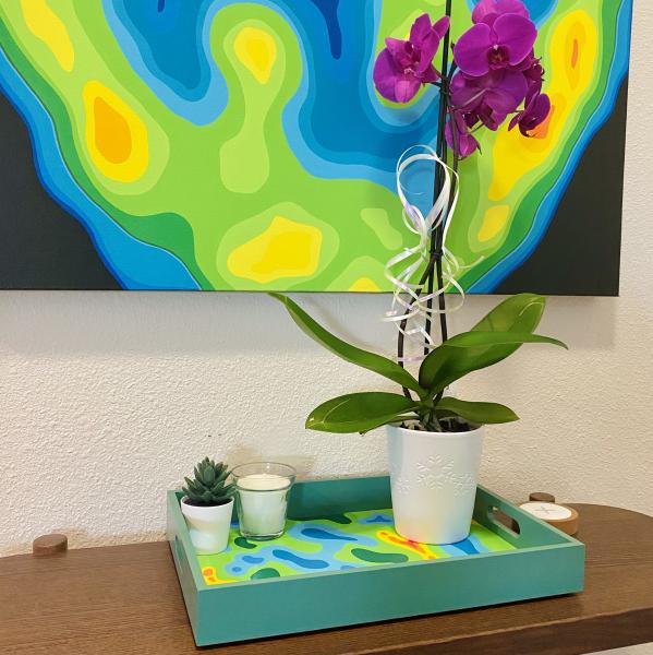 Colorful Medical Imaging Inspired Painted Tray picture