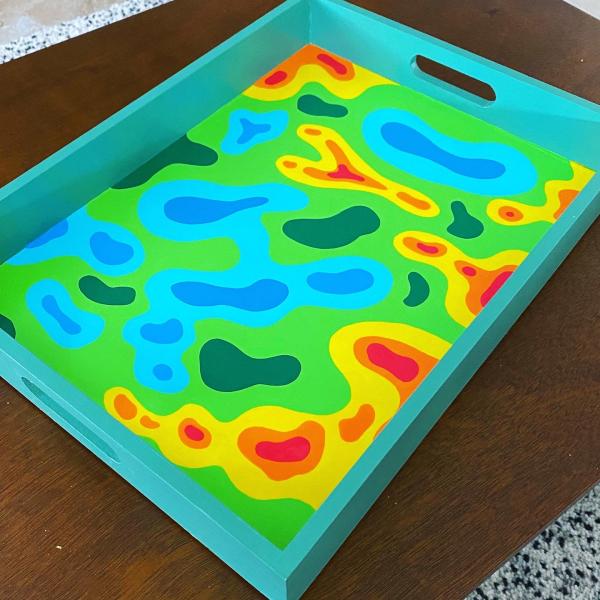 Colorful Medical Imaging Inspired Painted Tray picture