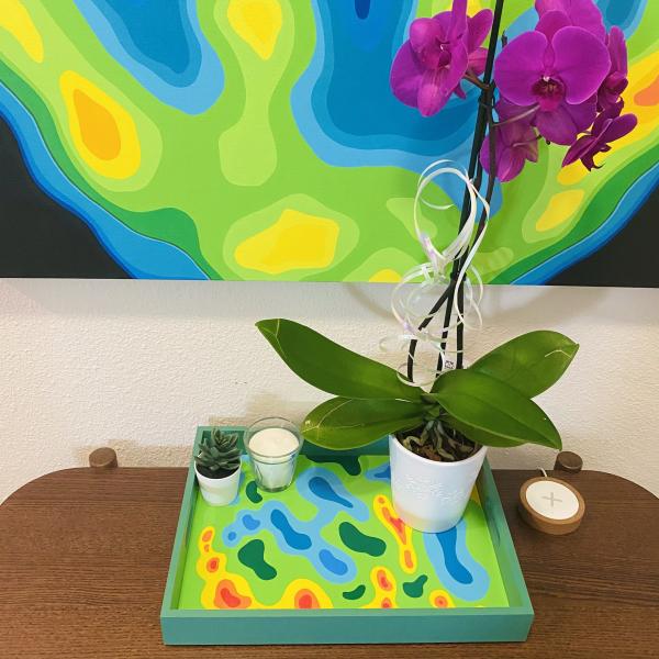 Colorful Medical Imaging Inspired Painted Tray picture