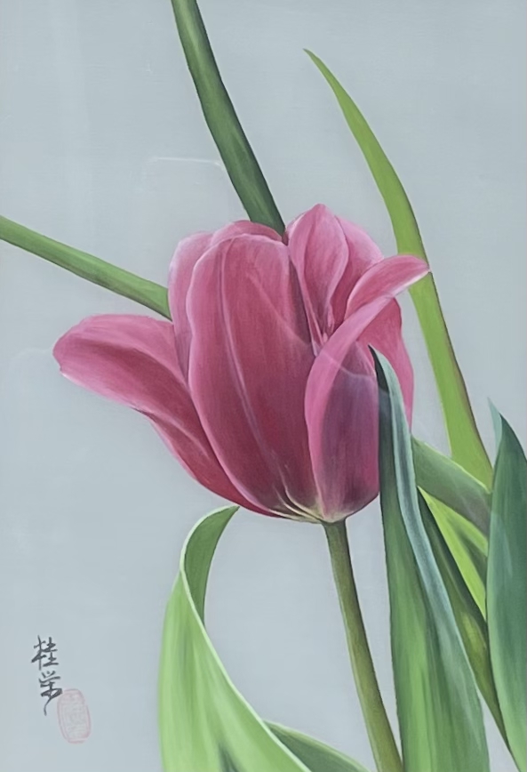 Tulip picture