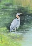 Blue Heron