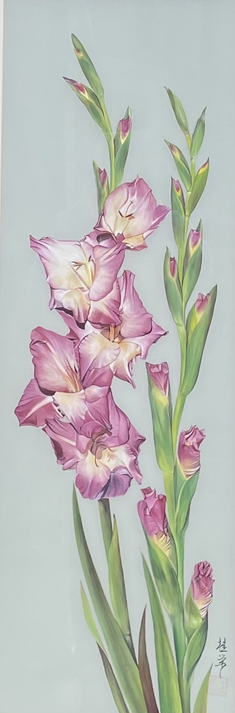 Gladiolus picture