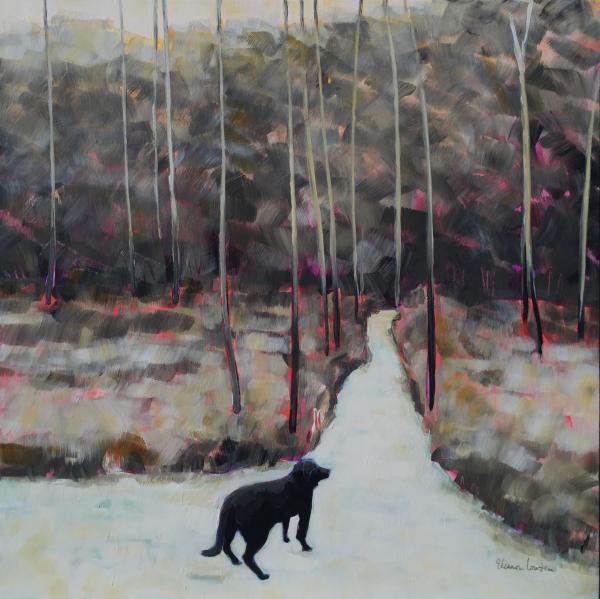 Black Dog 36 x 36