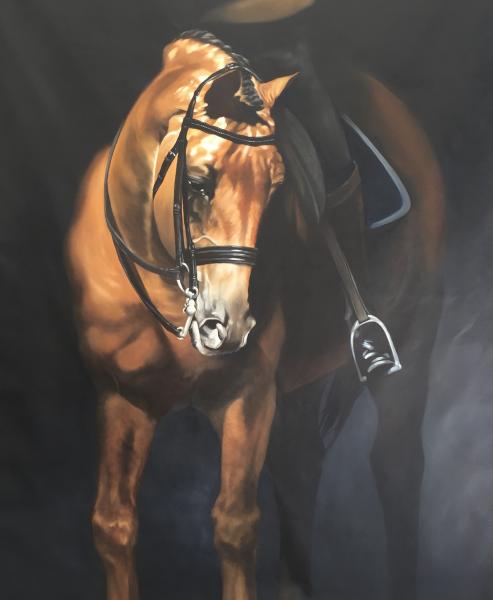 Warmblood picture