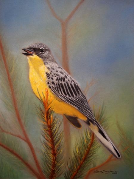 Kirtland’s Warbler picture