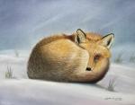 Winter Vixen