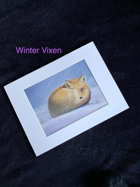Winter Vixen picture