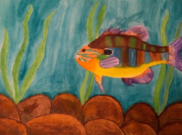 "Longear Sunfish" by Anna D