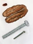 "Nut and a Bolt" by Paola V