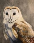 "Tyto Alba" by Megan S