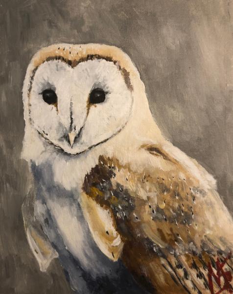 "Tyto Alba" by Megan S picture