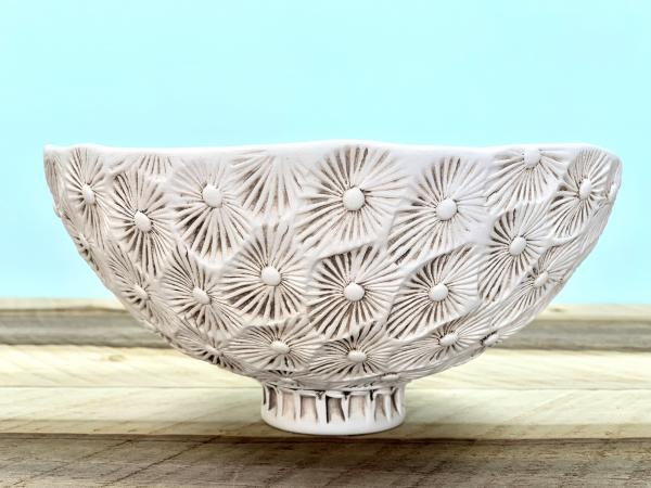 Star Coral Small Bowl in Shallow Seas picture