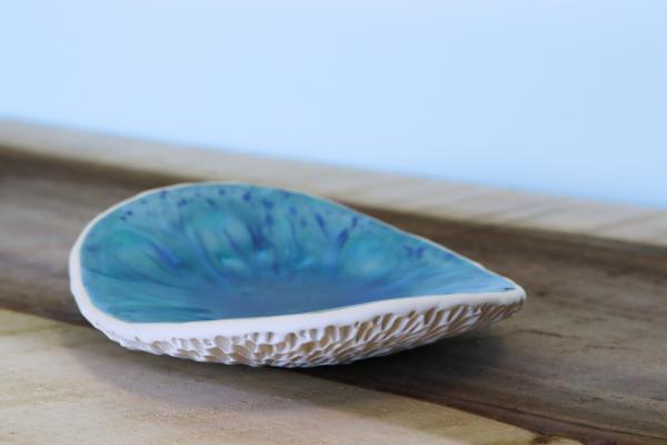 Reef Oval Dish in Shallow Seas picture