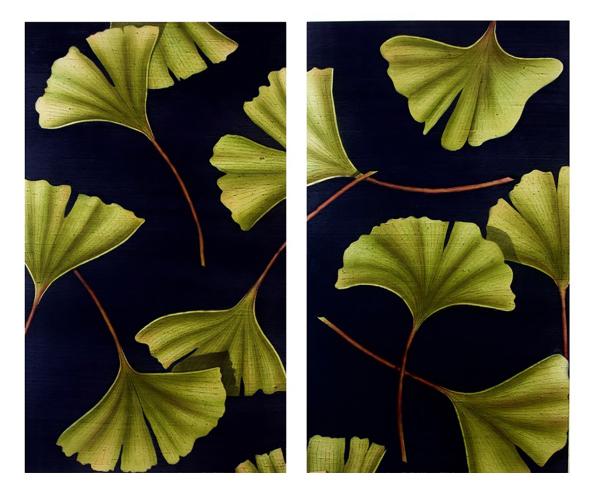 Gingko Diptych picture