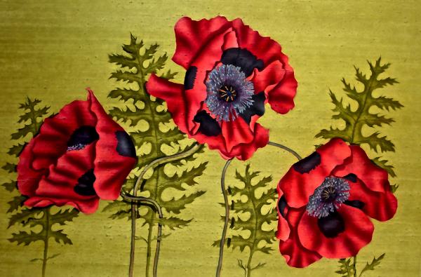 Poppies with Black