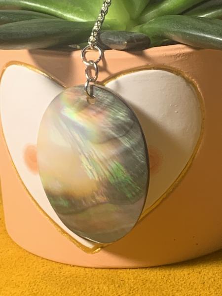 Abalone Chain Necklace picture