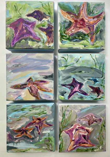 Starfish Study V picture