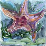 Starfish Study VI