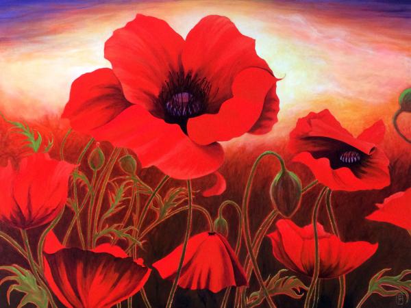 Poppies at Sunset picture