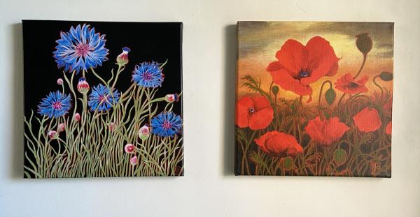 Poppies picture