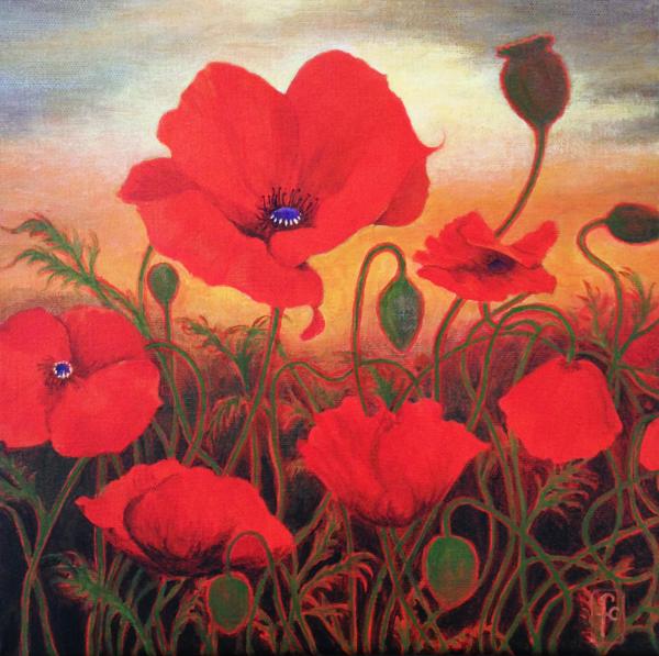 Poppies