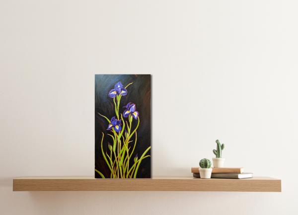 Irises picture