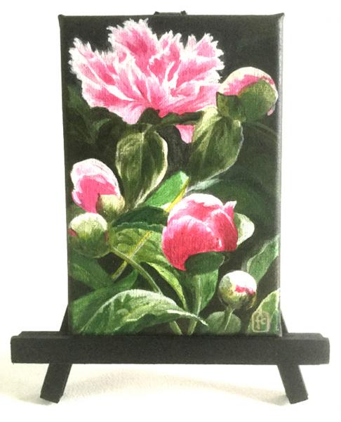 Peonies picture